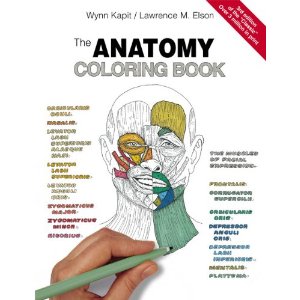 51rjn5yJn3L._SL500_AA300_