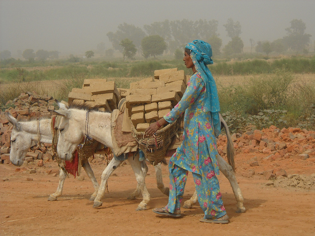 8029153324_5854c5e5f4_z