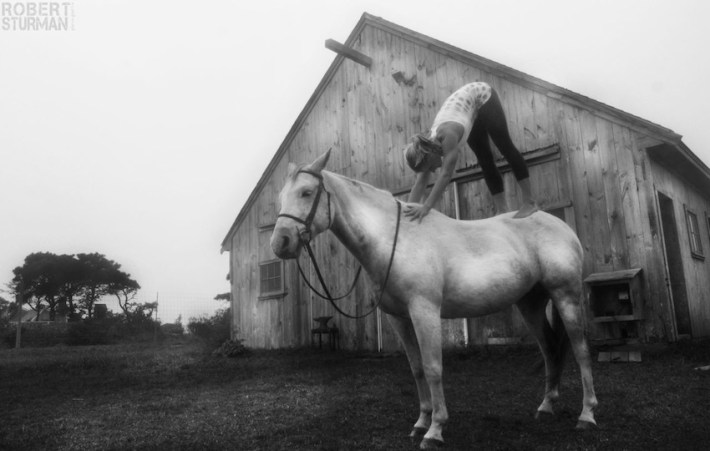 yoga-horse-sturman-slide-850