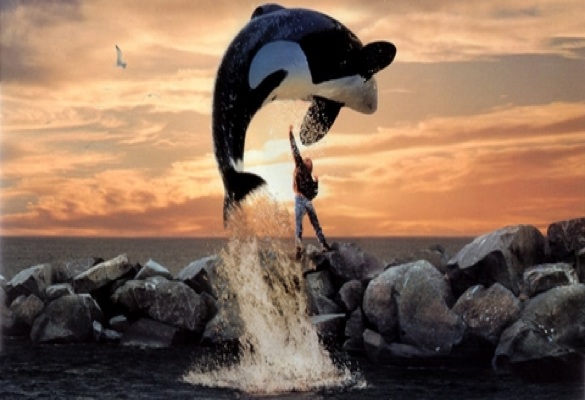 Free-Willy